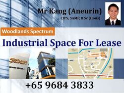 Woodlands Spectrum (D25), Factory #552591441